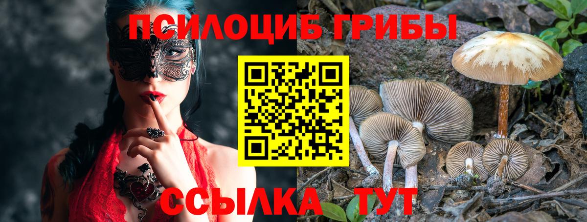 Галлюциногенные грибы MAGIC MUSHROOMS  Вход с VPN  Красноярск 