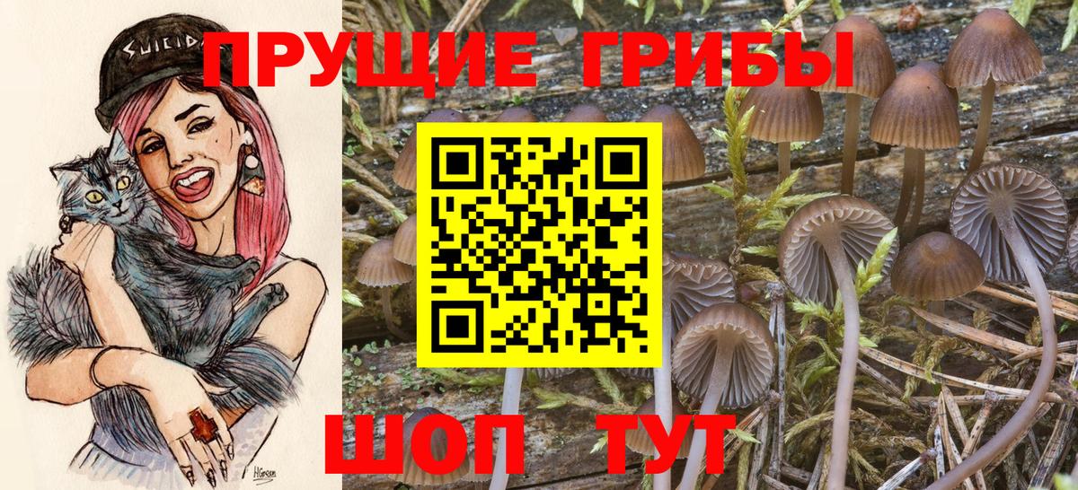 Галлюциногенные грибы ЛСД Красноярск